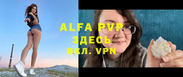 ПСИЛОЦИБИНОВЫЕ ГРИБЫ Бородино