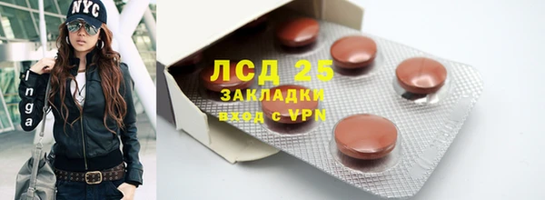 ПСИЛОЦИБИНОВЫЕ ГРИБЫ Бородино