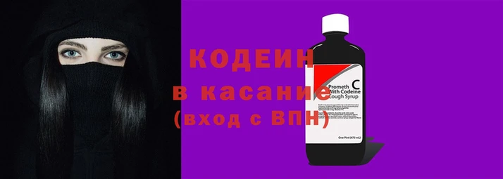крисы Бронницы