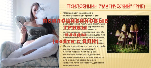 а пвп мука Бугульма