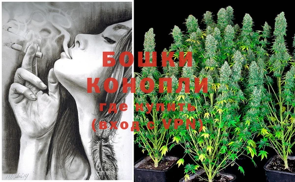 крисы Бронницы