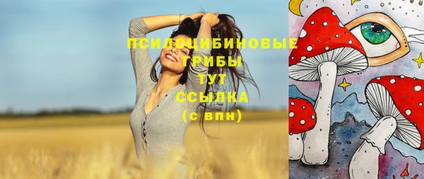 крисы Бронницы