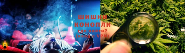 ПСИЛОЦИБИНОВЫЕ ГРИБЫ Бородино