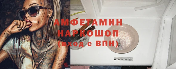 ПСИЛОЦИБИНОВЫЕ ГРИБЫ Бородино